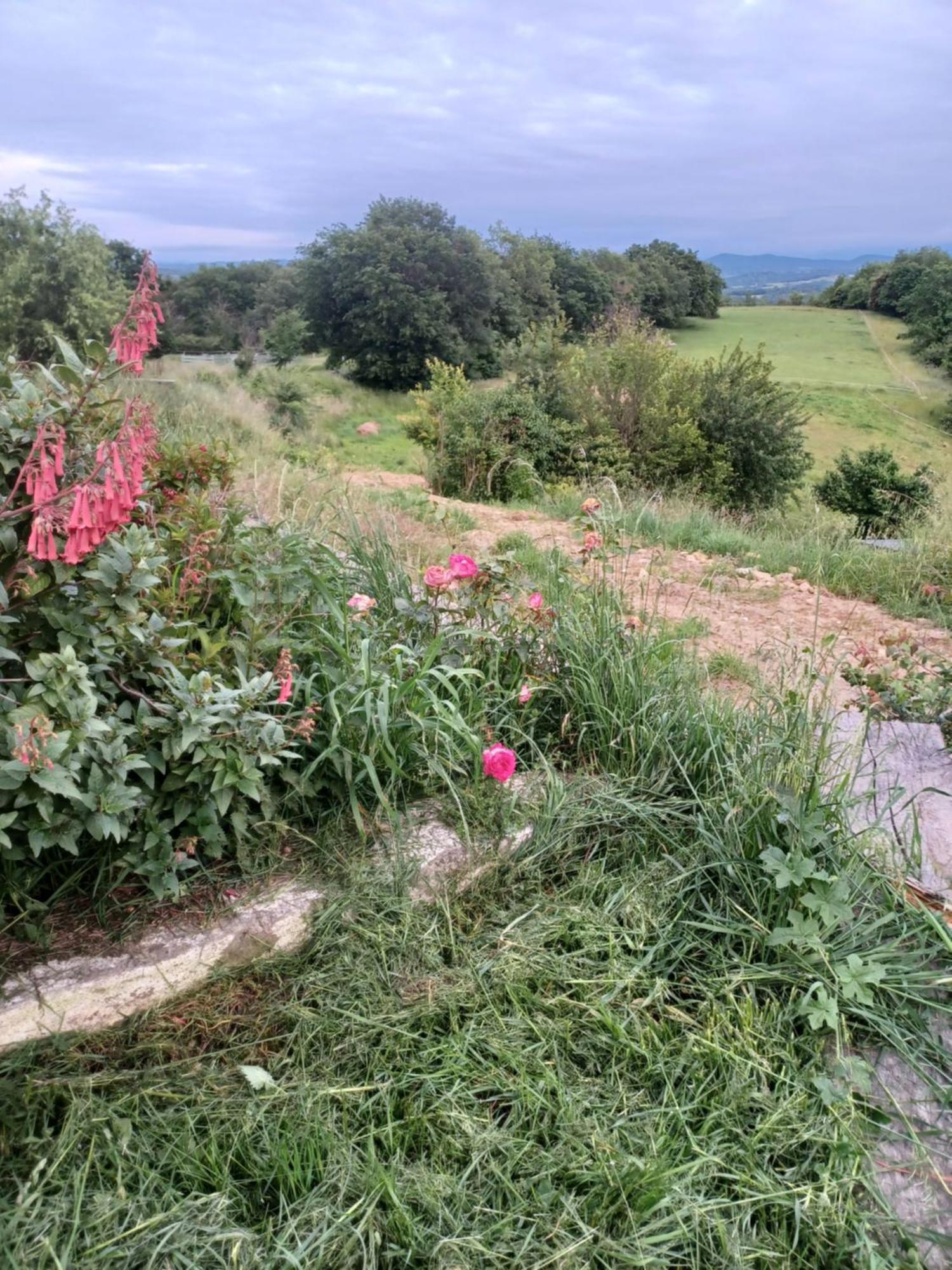 La Biste Villa Mirepoix  Bagian luar foto